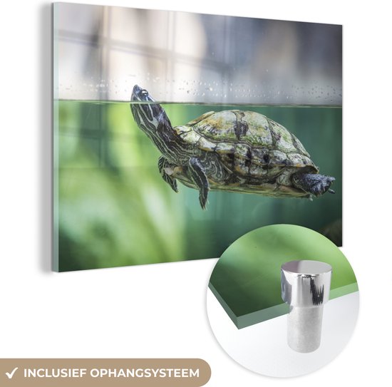 MuchoWow® Glasschilderij 30x20 cm - Schilderij acrylglas - Close-up foto van schildpad - Foto op glas - Schilderijen