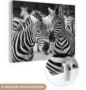 MuchoWow® Glasschilderij 40x30 cm - Schilderij acrylglas - Zebra zwart wit - Foto op glas - Schilderijen