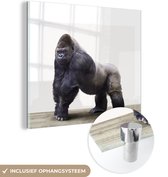 MuchoWow® Glasschilderij 50x50 cm - Schilderij acrylglas - Dier - Gorilla - Aap - Foto op glas - Schilderijen