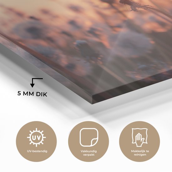 Peinture sur Verre - Pissenlit - Coucher de Soleil - Printemps - 150x100 cm - Peintures sur Verre Peintures - Photo sur Glas