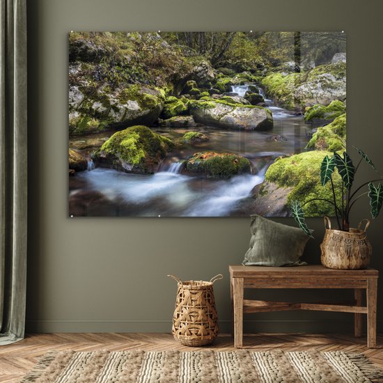 ® Glasschilderij 150x100 cm - Schilderij acrylglas - Bemoste rotsen in het Sloveense Nationaal park Triglav - Foto op glas - Muurdecoratie woonkamer - Wanddecoratie slaapkamer - Schilderijen