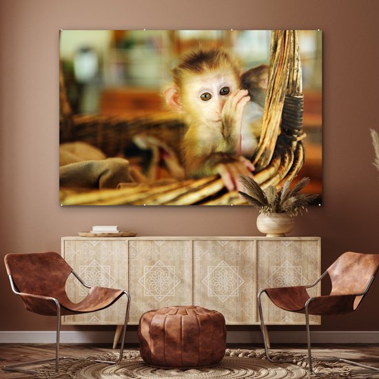 ® Glasschilderij 180x120 cm - Schilderij acrylglas - Baby aap in een rieten mand - Jongen - Kind - Meisjes - Kinderen - Foto op glas - Muurdecoratie woonkamer - Wanddecoratie slaapkamer - Schilderijen