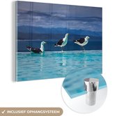 MuchoWow® Glasschilderij 150x100 cm - Schilderij acrylglas - Meeuwen - Vogels - Zwembad - Foto op glas - Schilderijen