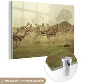 MuchoWow® Glasschilderij 150x100 cm - Schilderij acrylglas - Gazelle - Afrika - Boom - Foto op glas - Schilderijen