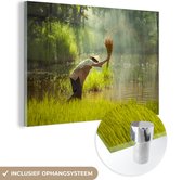 MuchoWow® Glasschilderij 150x100 cm - Schilderij acrylglas - Boer - Zaadjes - Rijst - Water - Foto op glas - Schilderijen