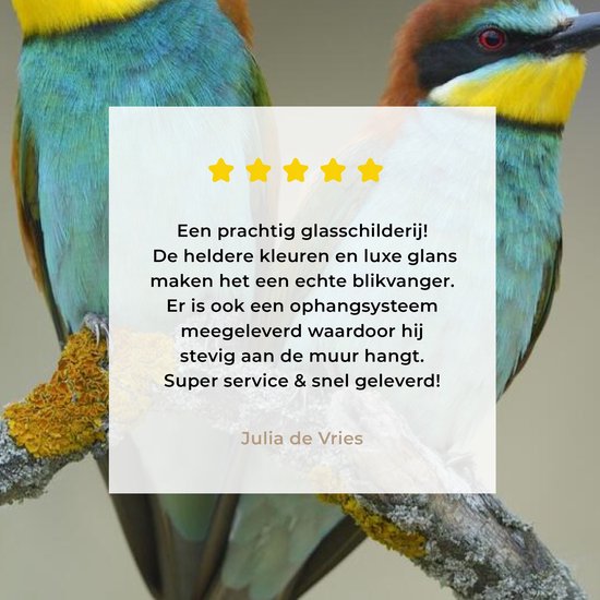 MuchoWow® Tableau sur Verre - Deux Mignons Guêpiers Regarder Ailleurs - 100x150 cm - Peintures sur Verre Acrylique - Photo sur Glas