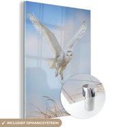 MuchoWow® Glasschilderij 30x40 cm - Schilderij acrylglas - Vliegende sneeuwuil - Foto op glas - Schilderijen