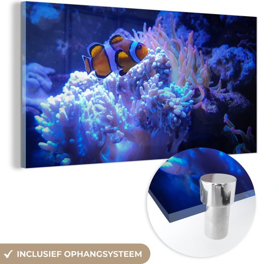 MuchoWow® Glasschilderij 40x20 cm - Schilderij acrylglas - Vis - Koraal - Water - Foto op glas - Schilderijen