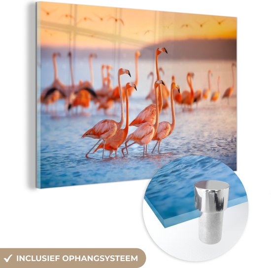 MuchoWow® Glasschilderij 60x40 cm - Schilderij acrylglas - Flamingo - Zee - Zon - Zomer - Foto op glas - Schilderijen