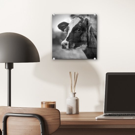 Peinture sur verre - Un portrait en gros plan d'un veau d'une vache frisonne - noir et blanc - 20x20 cm - Peintures Plexiglas