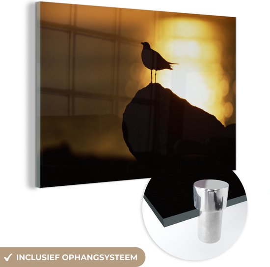 MuchoWow® Glasschilderij 60x40 cm - Schilderij acrylglas - Lachmeeuw bij de zonsondergang - Foto op glas - Schilderijen