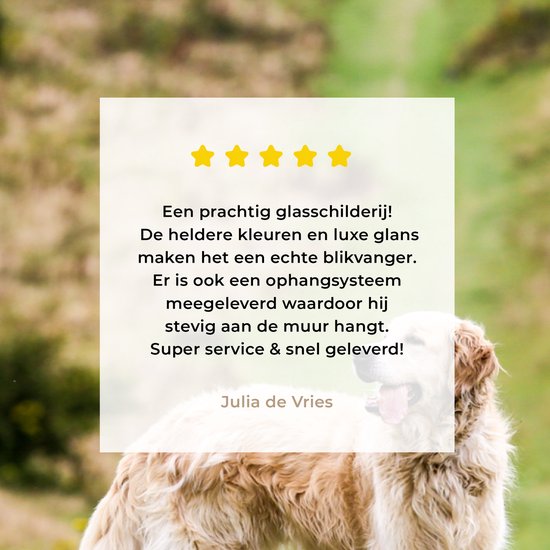 MuchoWow® Glasschilderij 180x120 cm - Schilderij acrylglas - Prachtige afbeelding van een Golden Retriever - Foto op glas - Schilderijen