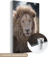 MuchoWow® Peinture sur Verre - Lion - Animal - Wit - 100x150 cm - Peintures sur Verre Acrylique - Photo sur Glas