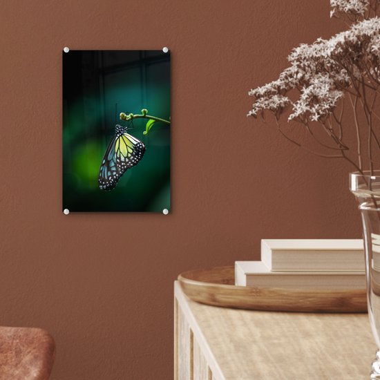 Peinture sur Verre - Papillon sur une Branche Fine - 20x30 cm - Peintures sur Verre Peintures - Photo sur Glas