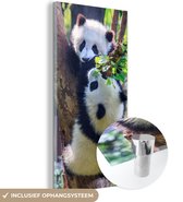 MuchoWow® Glasschilderij 20x40 cm - Schilderij acrylglas - Panda's - Boom - Natuur - Foto op glas - Schilderijen
