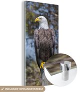 MuchoWow® Peinture sur verre 40x80 cm - Peinture acrylique sur verre - Un pygargue à tête blanche américain perché sur un poteau regarde sur le côté - Photo sur verre - Peintures