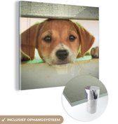 MuchoWow® Glasschilderij 90x90 cm - Schilderij acrylglas - Een puppy kijkt door een hek heen - Foto op glas - Schilderijen