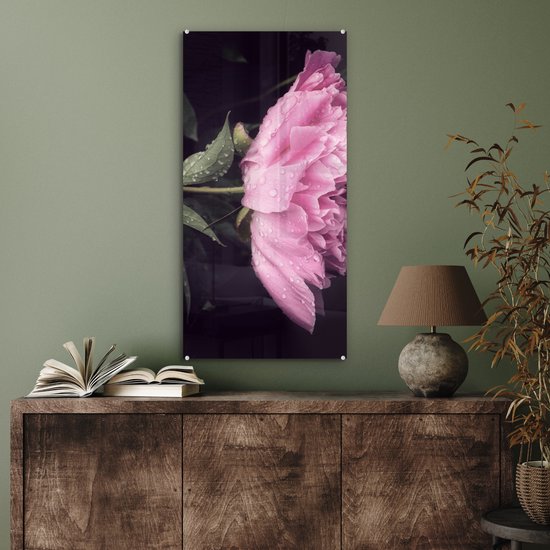 MuchoWow® Peinture sur verre 40x80 cm - Peinture sur verre acrylique - Pivoine avec gouttes de rosée - Photo sur verre - Peintures