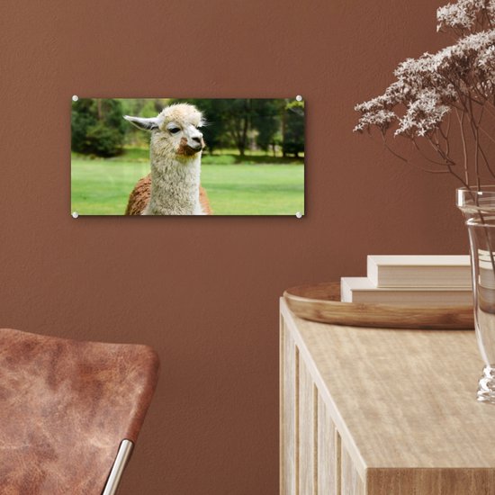 ® Glasschilderij 40x20 cm - Schilderij acrylglas - Alpaca - Wit - Bruin - Boom - Foto op glas - Muurdecoratie woonkamer - Wanddecoratie slaapkamer - Schilderijen