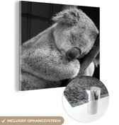 MuchoWow® Glasschilderij 20x20 cm - Schilderij acrylglas - Koala - Slapen - Zwart - Kids - Jongens - Meiden - Foto op glas - Schilderijen