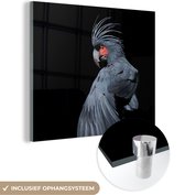 MuchoWow® Glasschilderij 20x20 cm - Schilderij acrylglas - Donkere kaketoe op een zwarte achtergrond - Foto op glas - Schilderijen