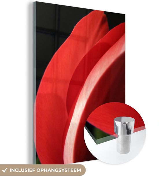 MuchoWow® Peinture sur verre 90x120 cm - Peinture sur verre acrylique - Gros plan de la tête d'une tulp rouge sur fond noir - Photo sur verre - Peintures