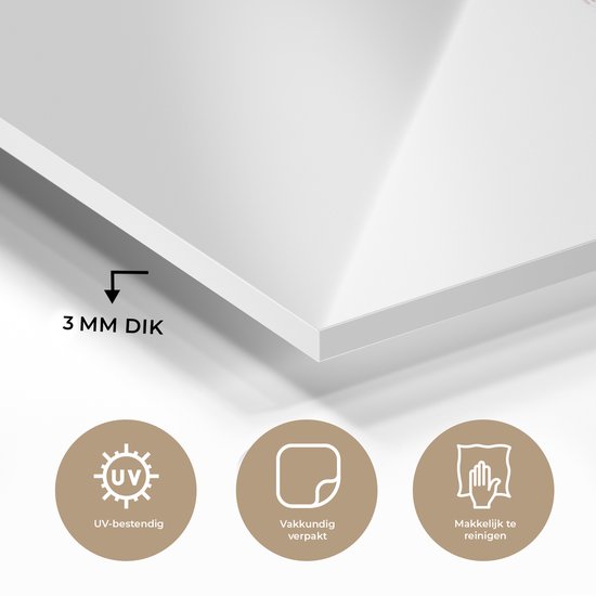 MuchoWow® Glasschilderij 40x30 cm - Schilderij acrylglas - Schotse hooglander - Rozen - Wit - Foto op glas - Schilderijen