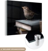 MuchoWow® Glasschilderij 80x60 cm - Schilderij acrylglas - Vogel - Boeken - Portret - Foto op glas - Schilderijen