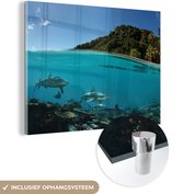 MuchoWow® Glasschilderij 120x90 cm - Schilderij acrylglas - Koraal - Haaien - Zee - Foto op glas - Schilderijen