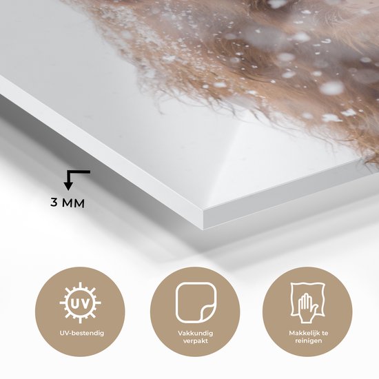 MuchoWow® Peinture sur Verre - Highlander écossais - Cornes - Neige - 40x30 cm - Peintures sur Verre Acrylique - Photo sur Glas