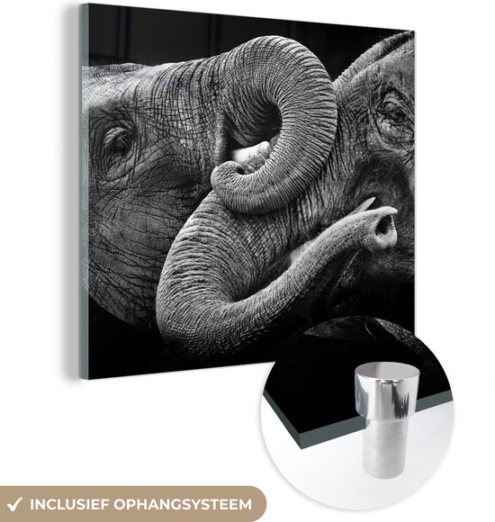 MuchoWow® Glasschilderij 50x50 cm - Schilderij acrylglas - Knuffelende olifanten in zwart-wit - Foto op glas - Schilderijen