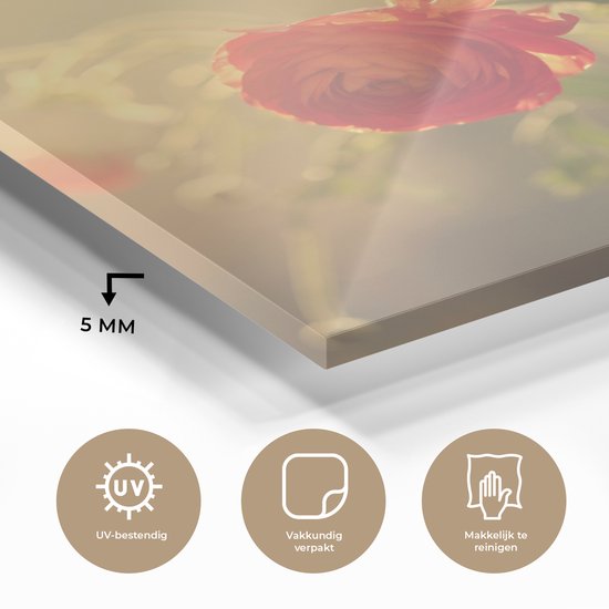 MuchoWow® Peinture sur verre 90x90 cm - Peinture sur verre acrylique - Bouquet de renoncules colorées - Photo sur verre - Peintures