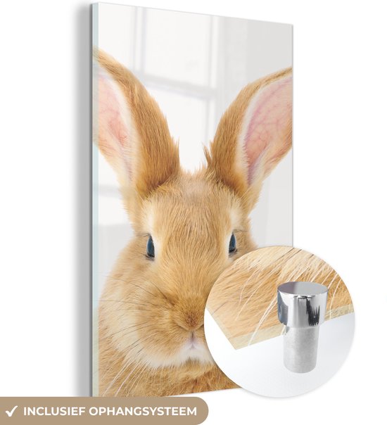 MuchoWow® Peinture sur verre 120x180 cm - Peinture sur verre acrylique - Enfants - Lapin - Enfant - Filles - Garçons - Photo sur verre - Peintures