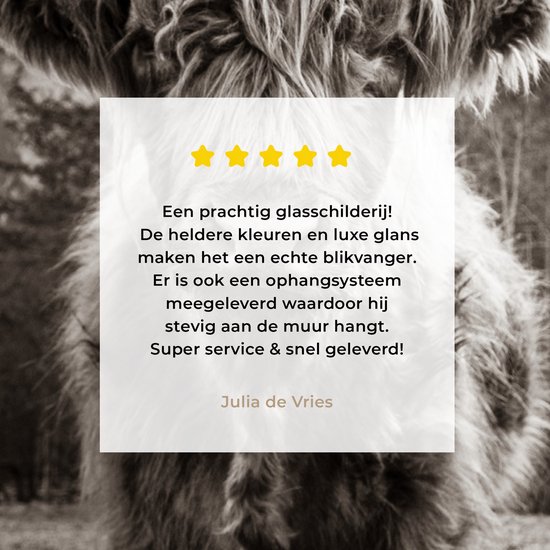 MuchoWow® Peinture sur verre 30x40 cm - Peinture acrylique sur verre - Highlander écossais - Zwart - Wit - Animaux - Photo sur verre - Peintures