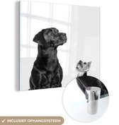 MuchoWow® Glasschilderij 90x90 cm - Schilderij acrylglas - Omhoog kijkende honden - zwart wit - Foto op glas - Schilderijen