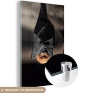 MuchoWow® Glasschilderij 120x180 cm - Schilderij acrylglas - Een hangende vleermuis - Foto op glas - Schilderijen