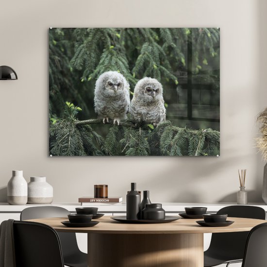 Deux poussins hiboux en Glas 90x60 cm - Tirage photo sur Glas (décoration murale en plexiglas)
