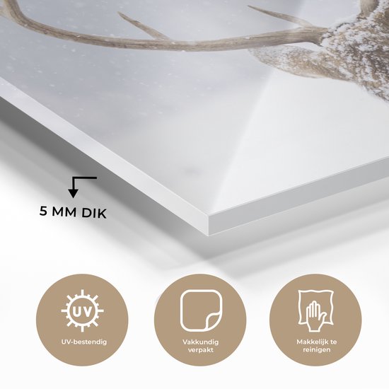 Peinture sur Verre - Cerf - Bois - Neige - Hiver - 150x100 cm - Peintures sur Verre Peintures - Photo sur Glas