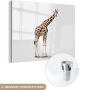 MuchoWow® Glasschilderij 120x90 cm - Schilderij acrylglas - Giraffe - Dieren - Wit - Jongens - Meisjes - Kids - Foto op glas - Schilderijen