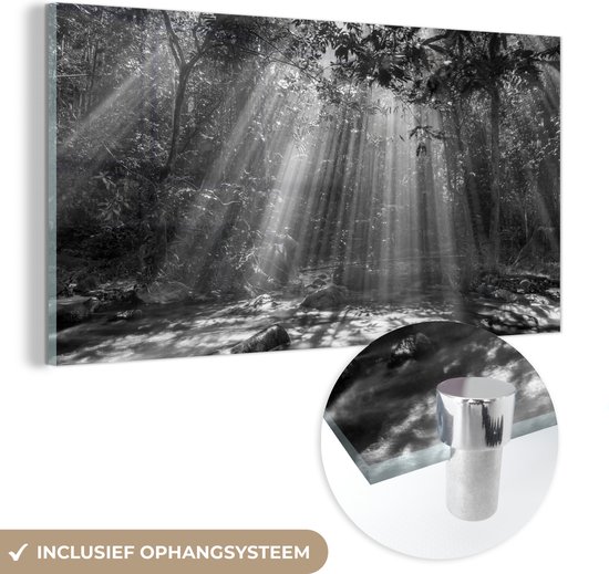 MuchoWow® Glasschilderij 40x20 cm - Schilderij acrylglas - Zonnestralen door bladerdek - zwart wit - Foto op glas - Schilderijen