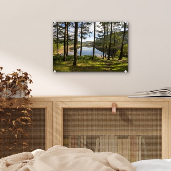 Grands arbres et un lac dans le parc national anglais Peak District Plexiglass 30x20 cm - petit - Tirage photo sur Glas (décoration murale en plexiglas)