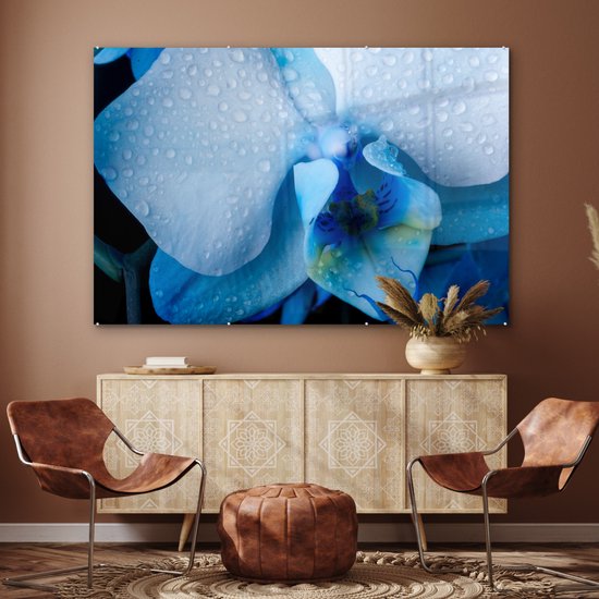Peinture sur verre MuchoWow® - Gros plan d'une orchidée bleue avec des feuilles claires - 150x100 cm - Peintures sur verre acrylique - Photo sur Glas