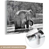 MuchoWow® Glasschilderij 120x80 cm - Schilderij acrylglas - Badderende olifant - zwart wit - Foto op glas - Schilderijen