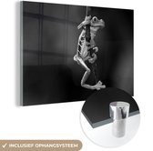 MuchoWow® Glasschilderij 30x20 cm - Schilderij acrylglas - Roodoogmakikikker in de jungle - zwart wit - Foto op glas - Schilderijen