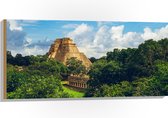 Hout - ''Piramide van de Tovenaar'' Yucatan, Mexico - 100x50 cm - 9 mm dik - Foto op Hout (Met Ophangsysteem)