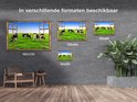 Product afbeelding  7