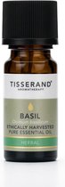Tisserand Aromatherapy Basil ethically harvested 9 ml