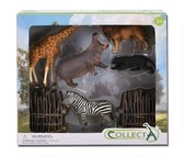 Collecta Wilde Dieren: Speelset In Giftverpakking 6-delig