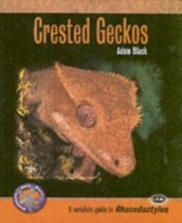 Crested Geckos