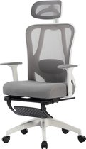 FOXSPORT Bureaustoel - Verstelbare hoofdsteun, armsteun, lendenkussen - met voetsteun - Computerstoel - Voor Gamen/Kantoor/Thuiswerken - met kledingrek - Office Chair - Ergonomische Gamestoel - Grijs